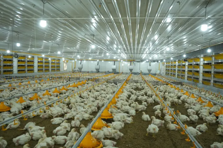 GE Maxxpro Pan Feeding System for Broilers