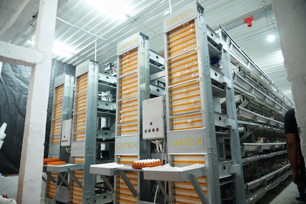 a Type Layer Cage System