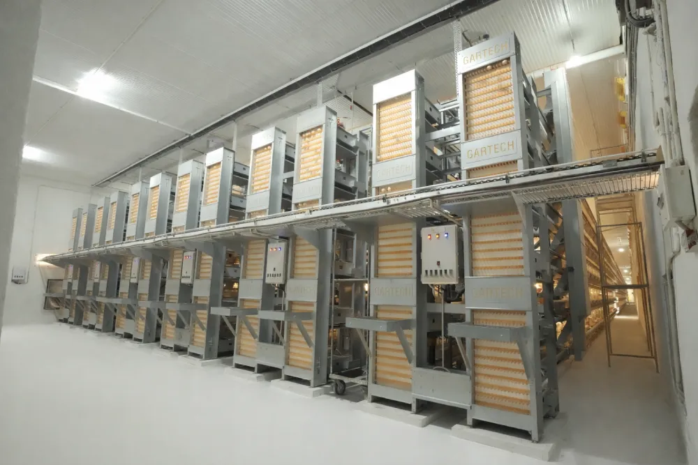 Automated Egg Collection