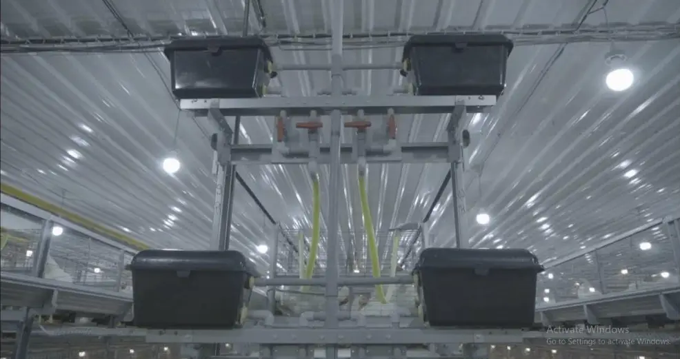 Water Quality in Nipple Drinking Systems