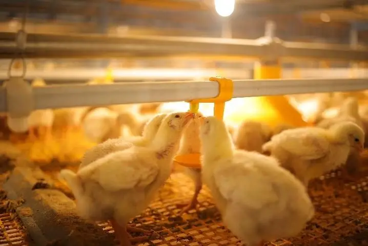 Why Water Quality is a Game-Changer