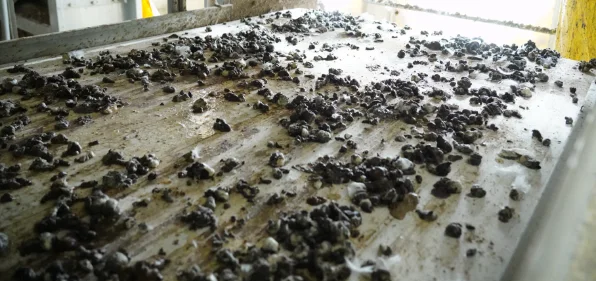 Why Manure Management Matters More Than Ever